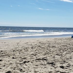 Meet your Posher, Carol